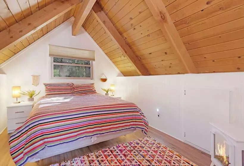 The Bear Bauhaus #2106