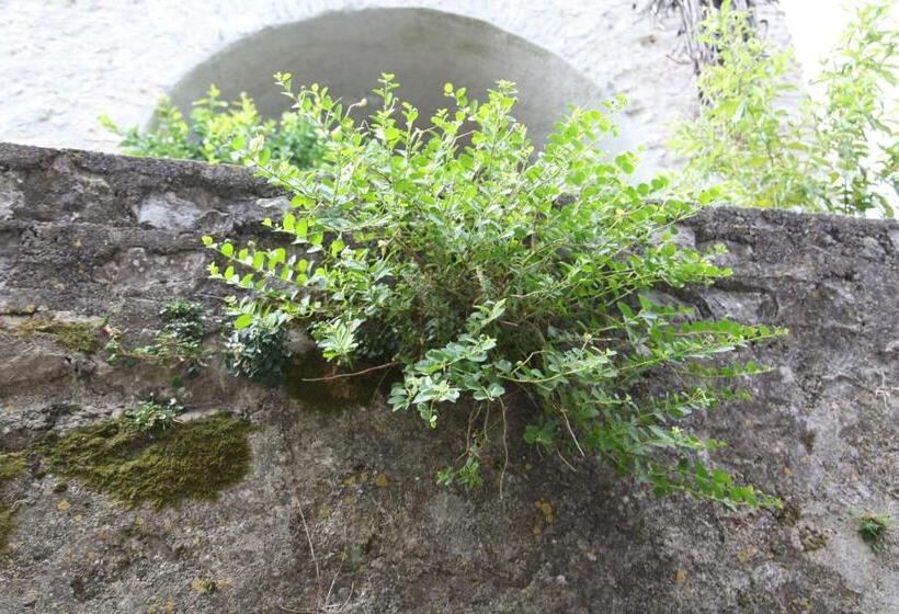 住宿加早餐  Ospitalità Don Carlo