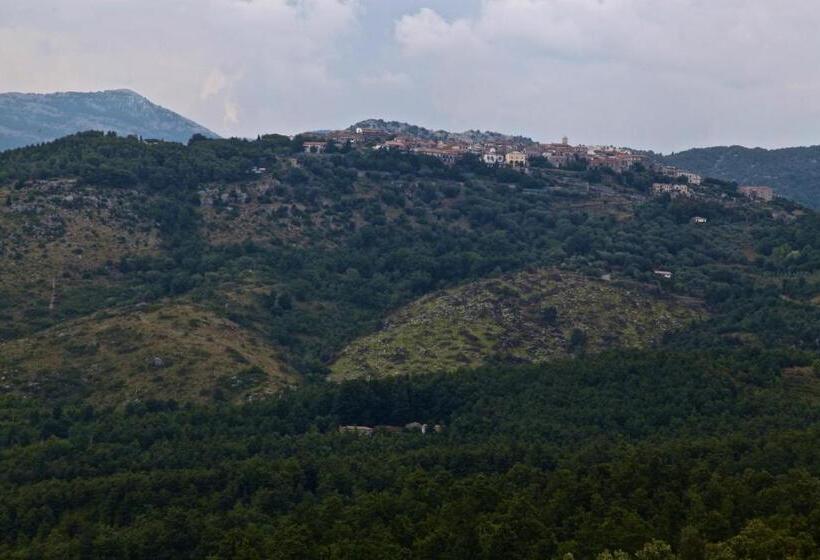 住宿加早餐  Ospitalità Don Carlo