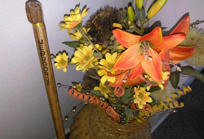 پانسیون Guest House Andre