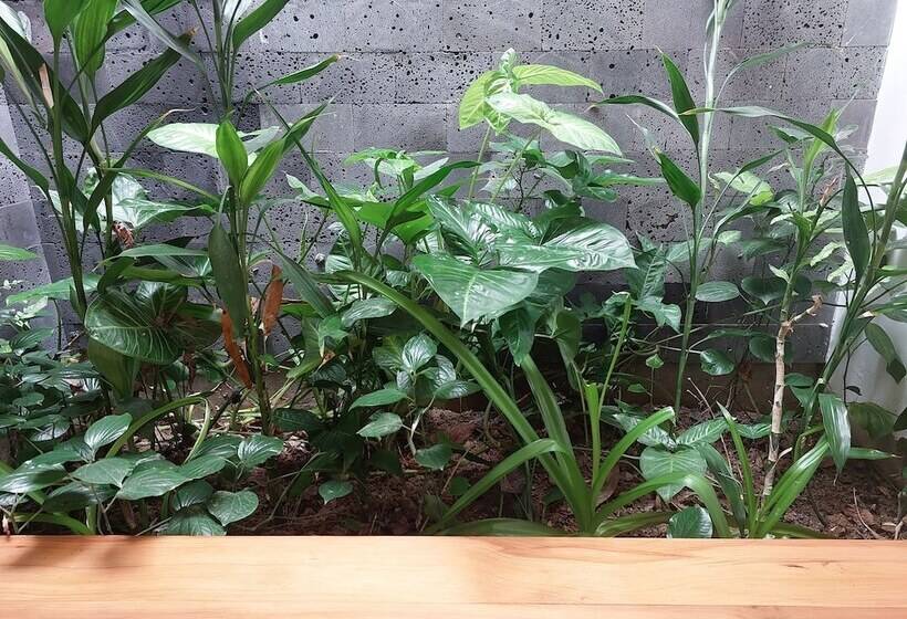 پانسیون Melody Riverside Homestay