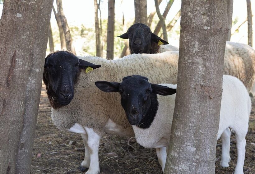 호텔 Resort Rural Quinta Do Carrascal