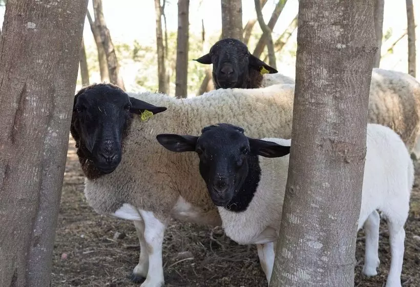 Hotelli Resort Rural Quinta Do Carrascal