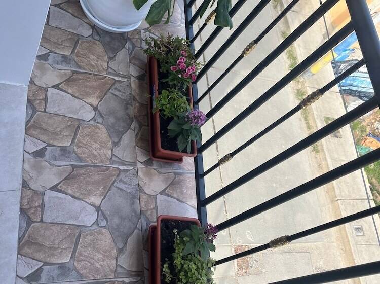 פנסיון Central Climbing Hostel