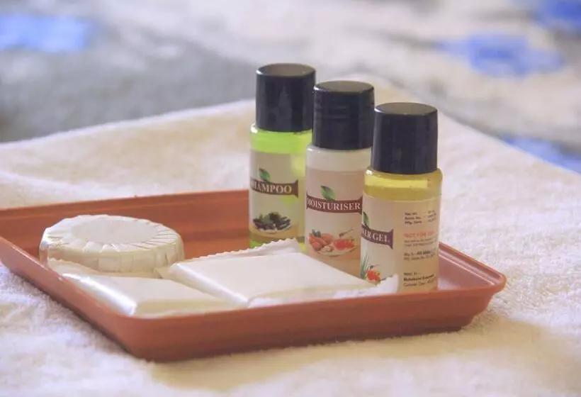 Hotelli Roshni   The Luxury Guest House