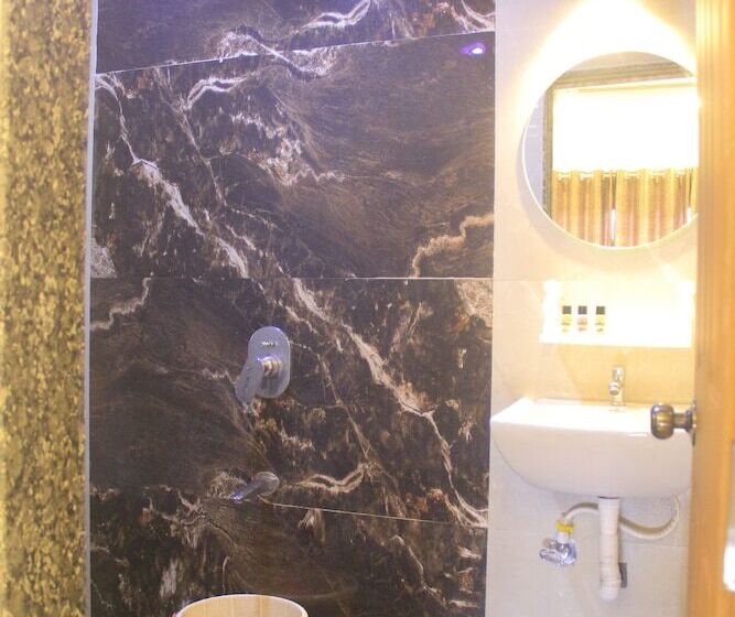 Hotel Roshni   The Luxury Guest House