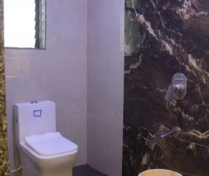 Hotelli Roshni   The Luxury Guest House