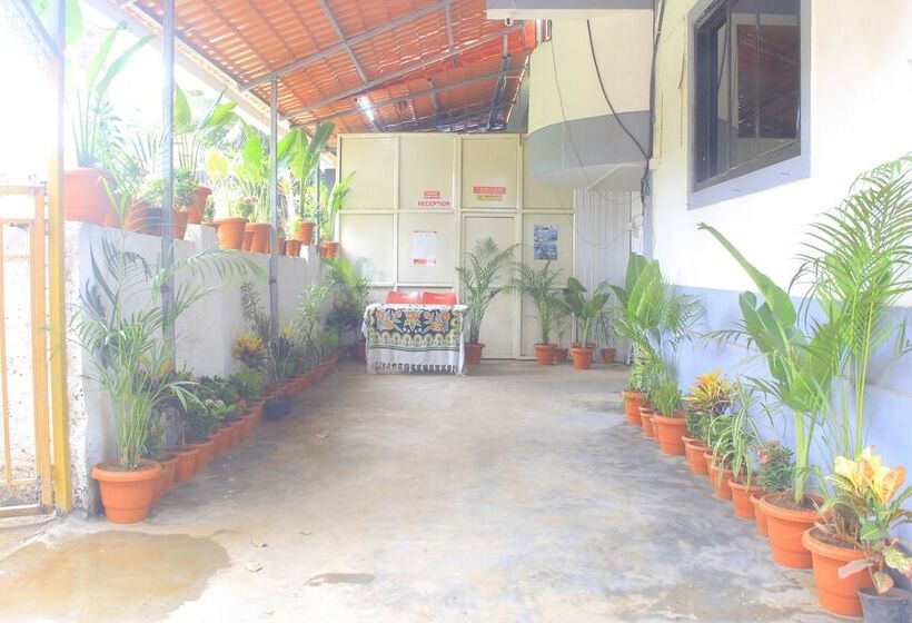 Hotel Roshni   The Luxury Guest House