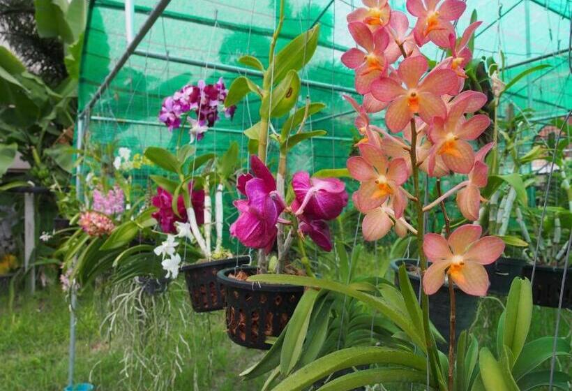 Отель Phetsuwan