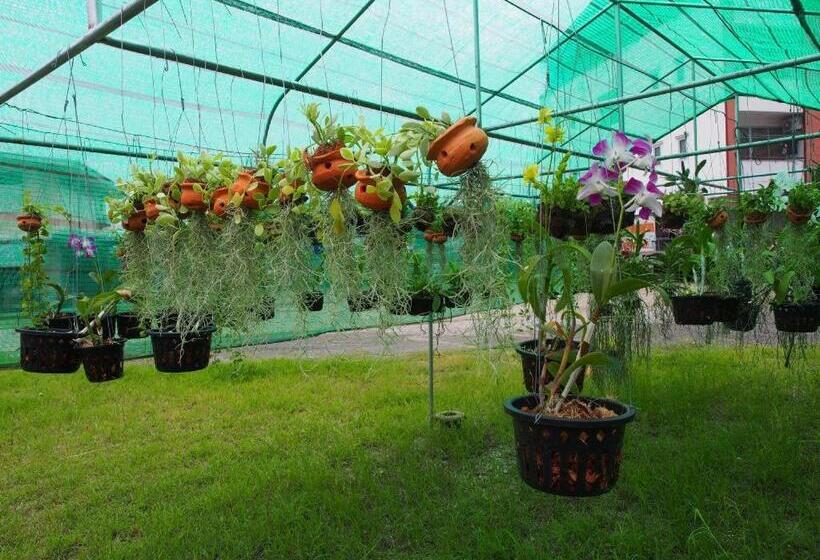 Отель Phetsuwan