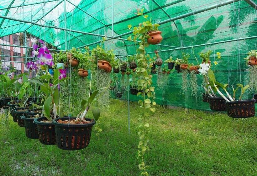 Отель Phetsuwan