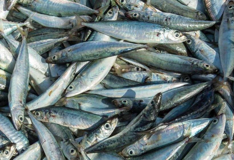 Szálloda Aquarium Indonesia Pangandaran