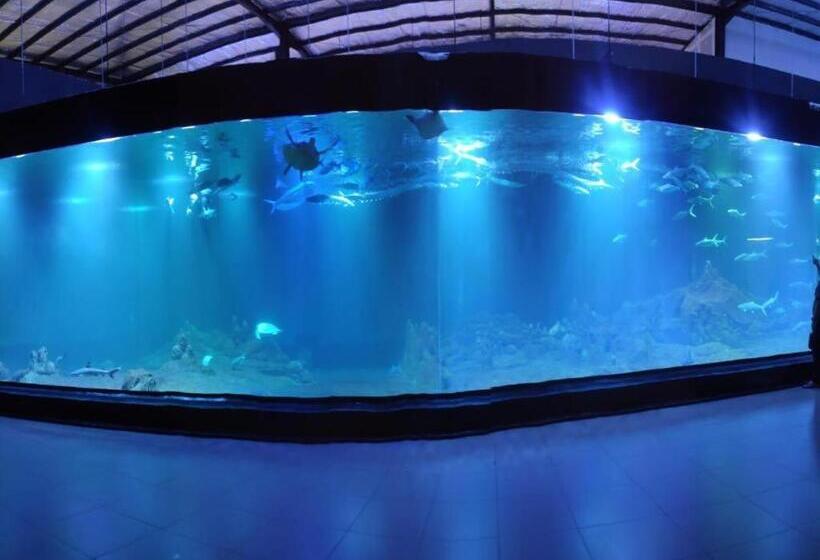 Szálloda Aquarium Indonesia Pangandaran