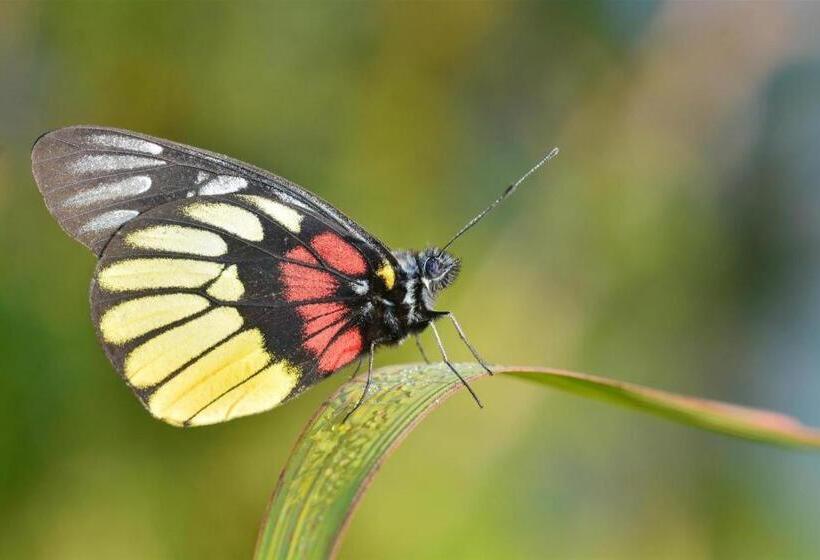 Kyriad Hotel M2 Lampung