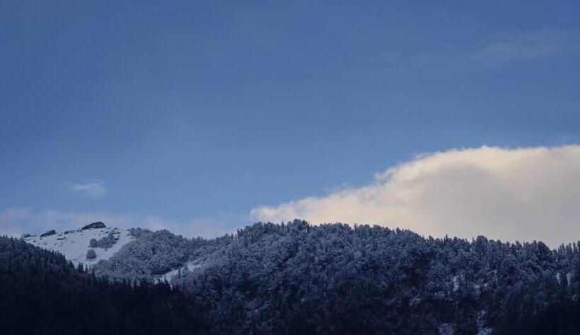 فندق Moon Blaze   Next To Hadimba Temple Near Mall Road Bonfire ! Open Terrace ! Personal Parking