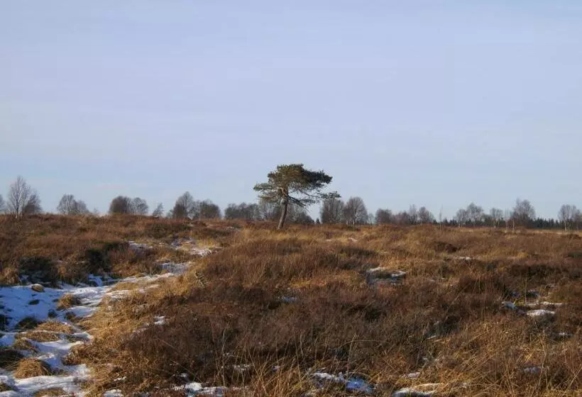 Aamiaismajoitus (B&B) Nähkiste