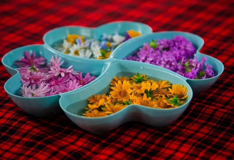 Bed & Breakfast Travellers Home