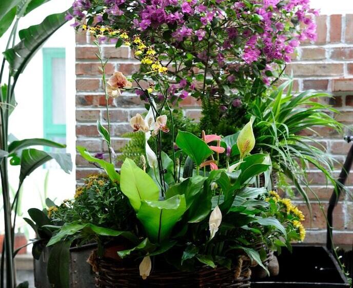 Peking Station Youth Hostel