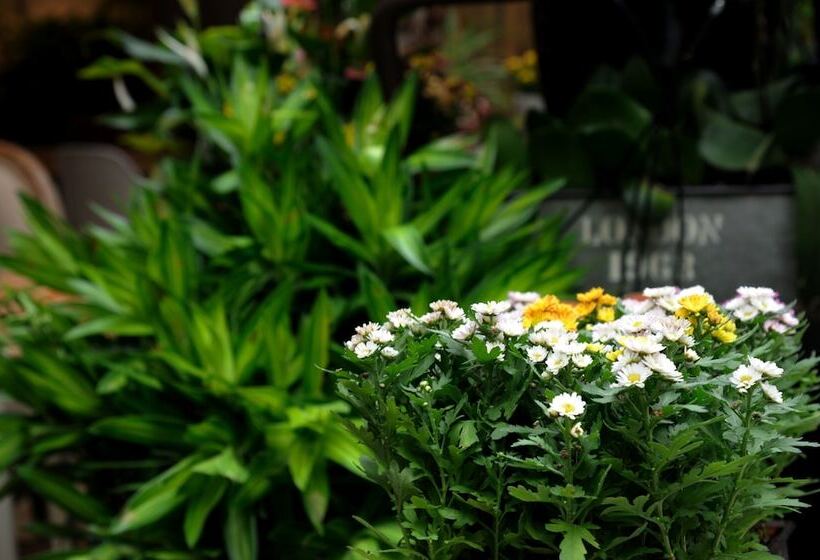 Peking Station Youth Hostel