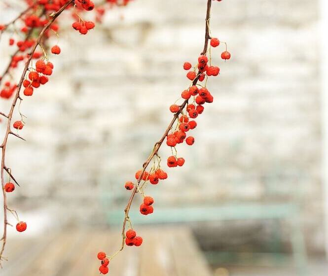 Peking Station Youth Hostel