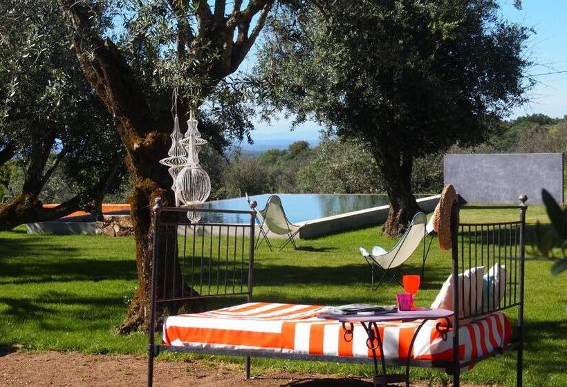 پانسیون Convento Senhora Da Vitória