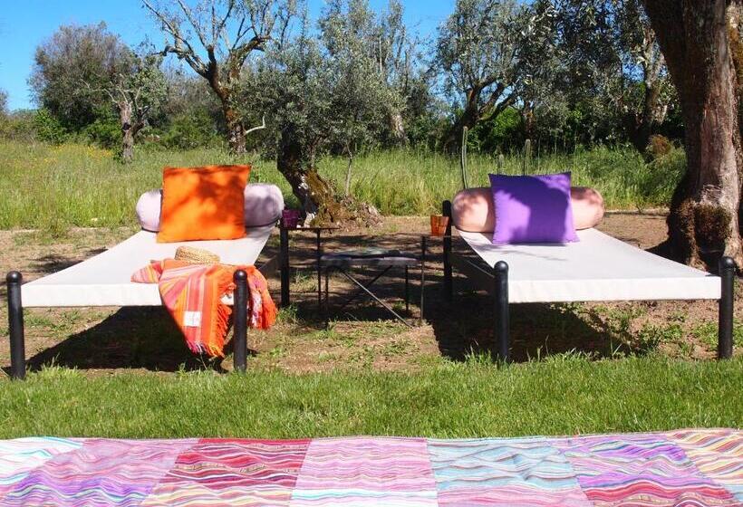 پانسیون Convento Senhora Da Vitória