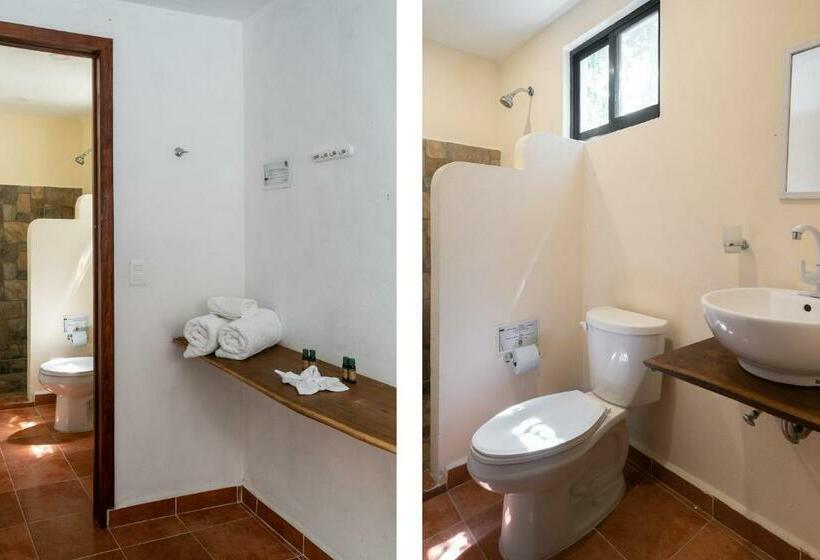 Ecovergel Hotel Riviera Maya