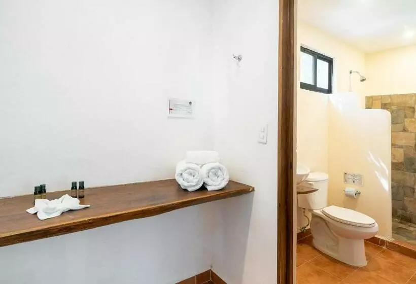 Ecovergel Hotel Riviera Maya