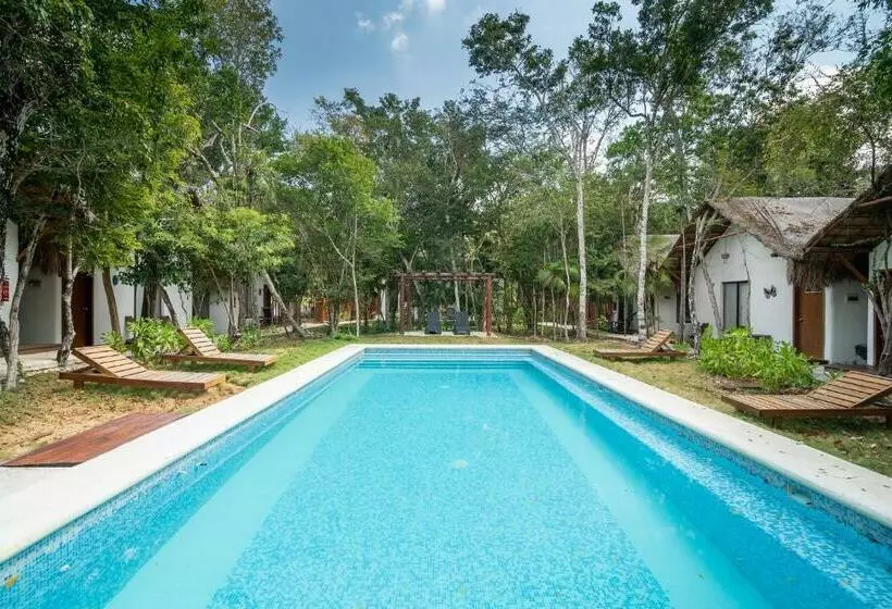 Ecovergel Hotel Riviera Maya