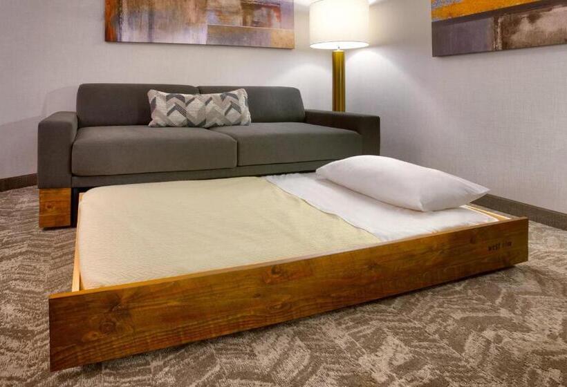 ホテル Springhill Suites By Marriott Salt Lake City South Jordan