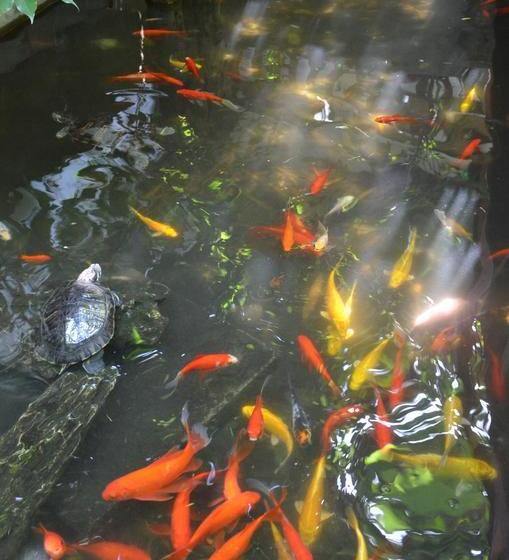 Mingtown Etour Youth Hostel