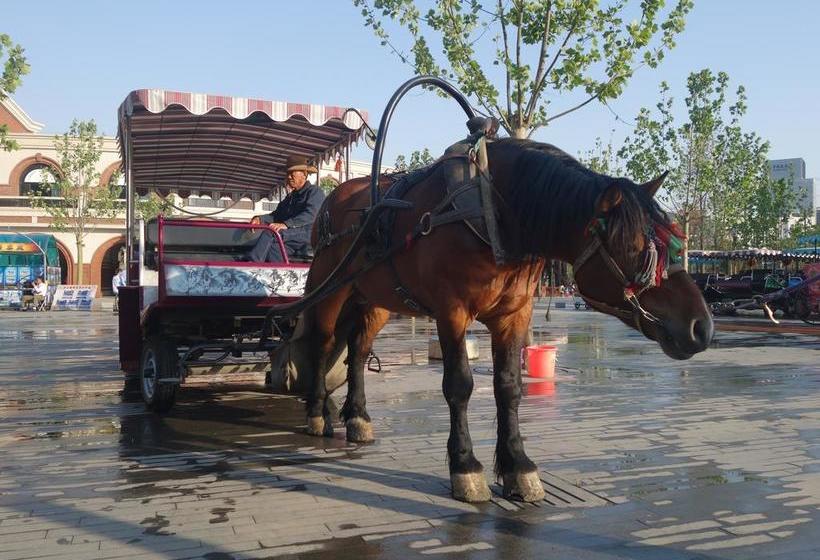 Tianjin Three Brothers Youth Hostel