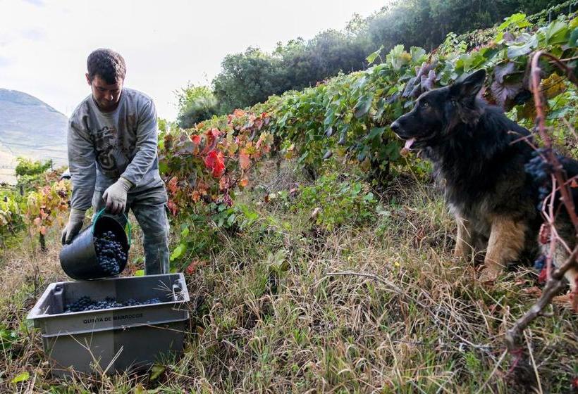 Отель Quinta De Marrocos