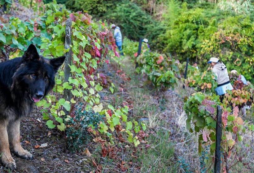 Отель Quinta De Marrocos