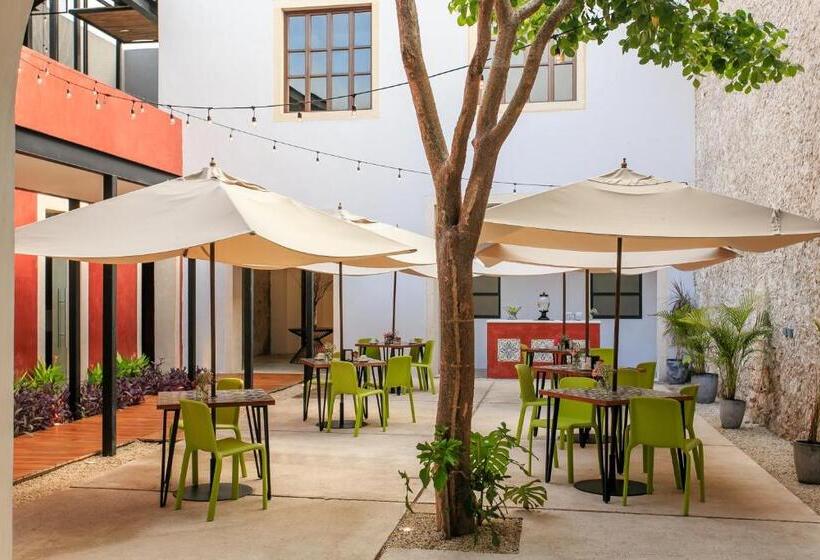 Hotel Casona 61 By Guru