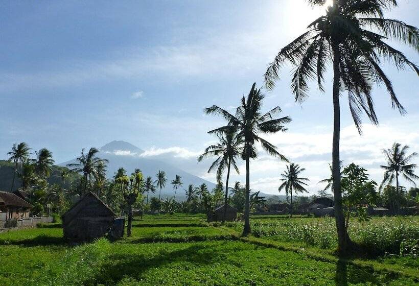 Bali Fab Dive Center   Hostel