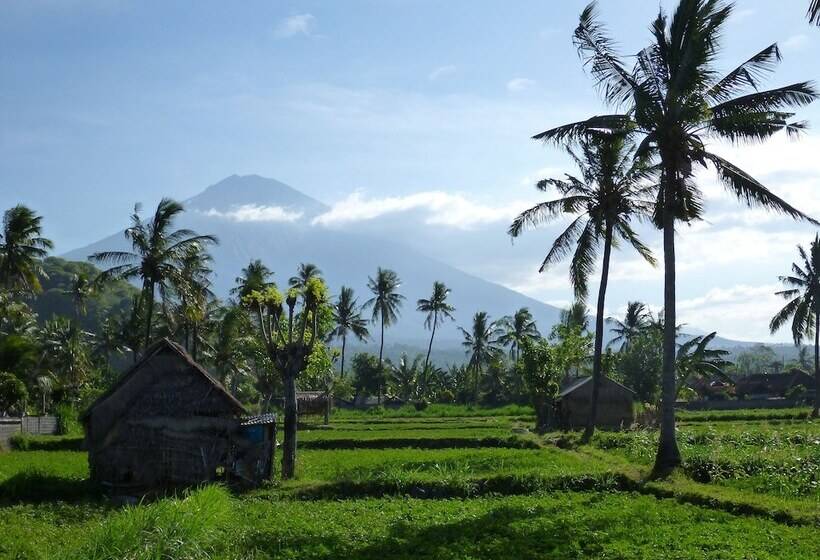 Bali Fab Dive Center   Hostel