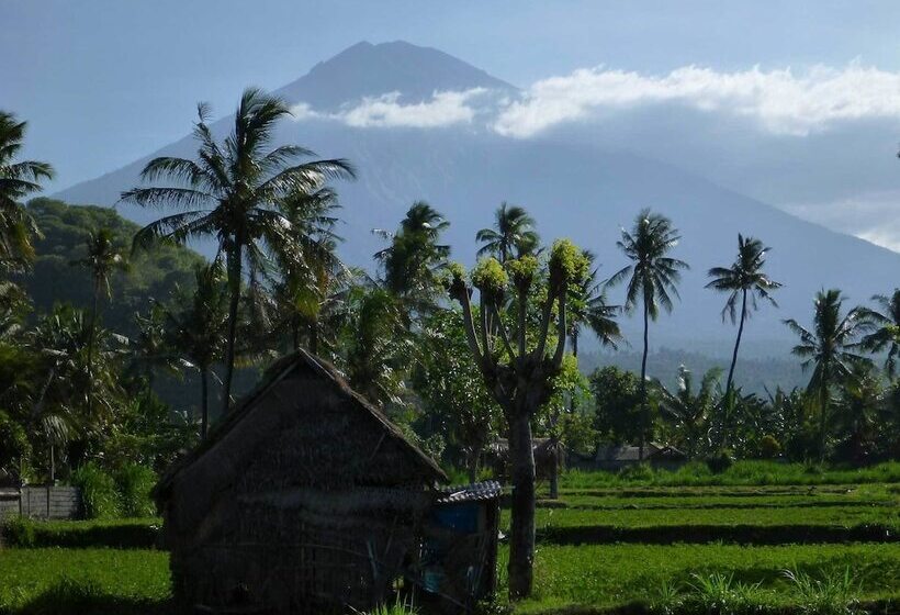 Bali Fab Dive Center   Hostel