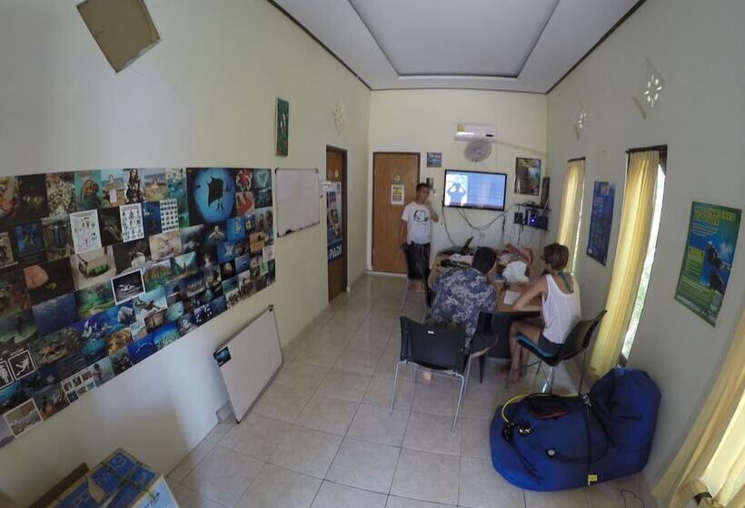 Bali Fab Dive Center   Hostel