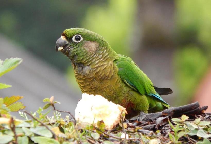 Hotel Aldeia Da Serra