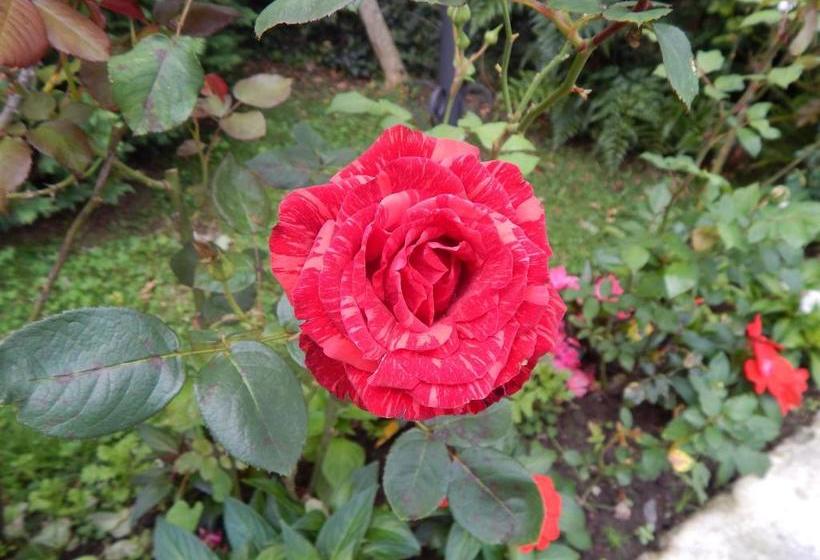 Hotel Aldeia Da Serra