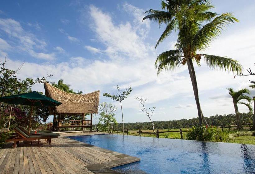 Fotos del hotel Omah Apik:  9