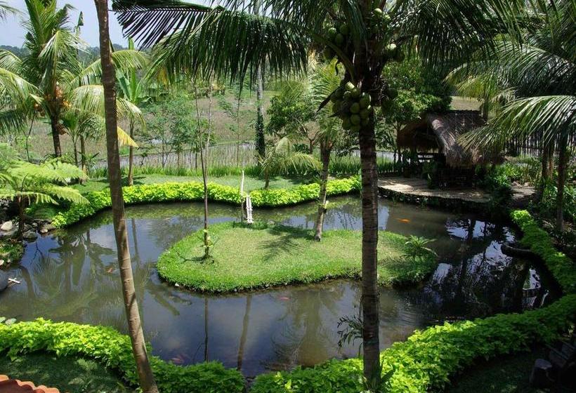 Fotos del hotel Omah Apik:  12