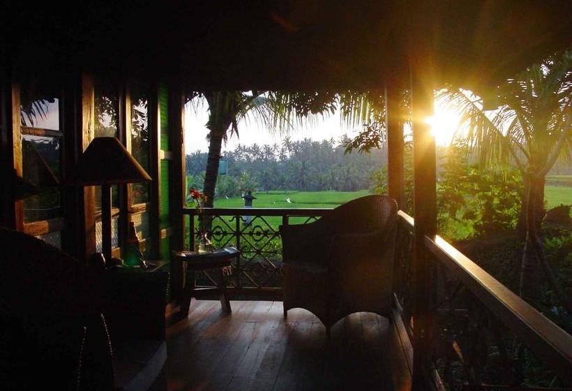 Fotos del hotel Omah Apik:  7