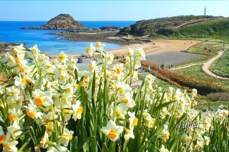 בית מלון כפרי Shimoda Ocean Park