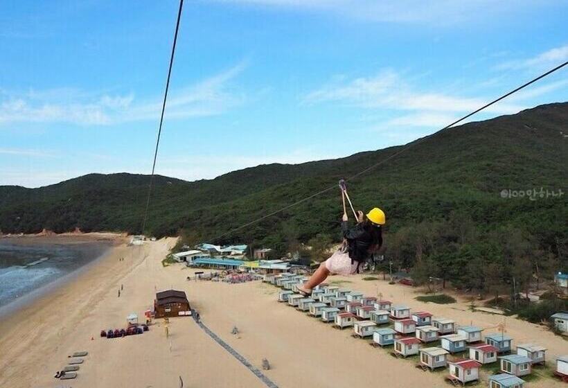 膳宿费 Koin Guesthouse Incheon Airport