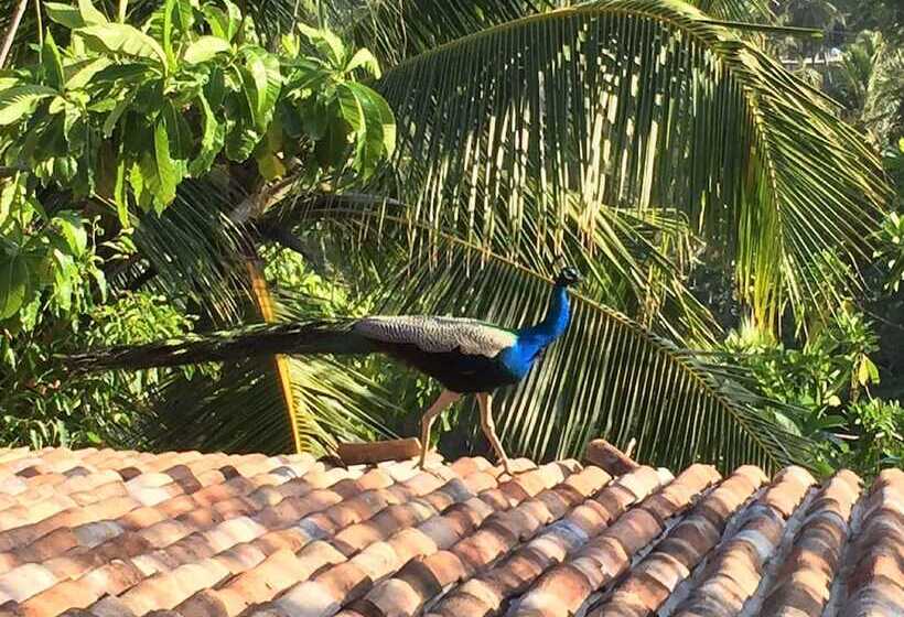 Пансион Lanka Eco Village