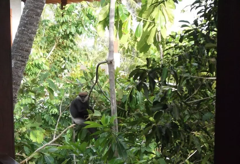 ペンション Lanka Eco Village