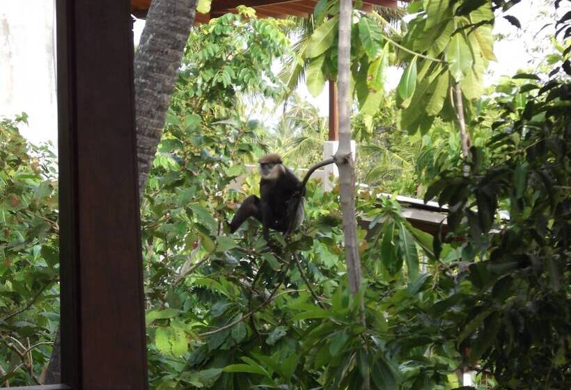 Пансион Lanka Eco Village