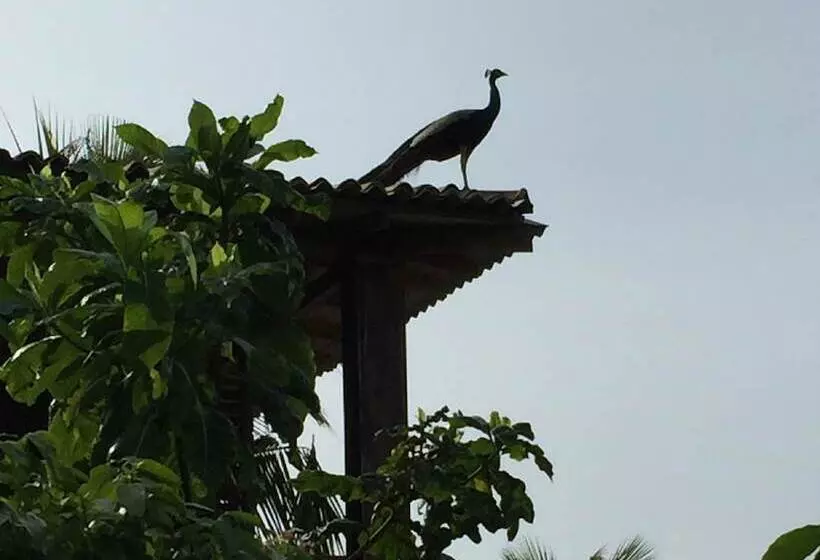 ペンション Lanka Eco Village